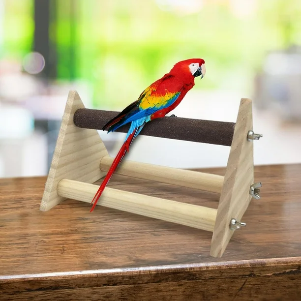 Macaw Training Tips
